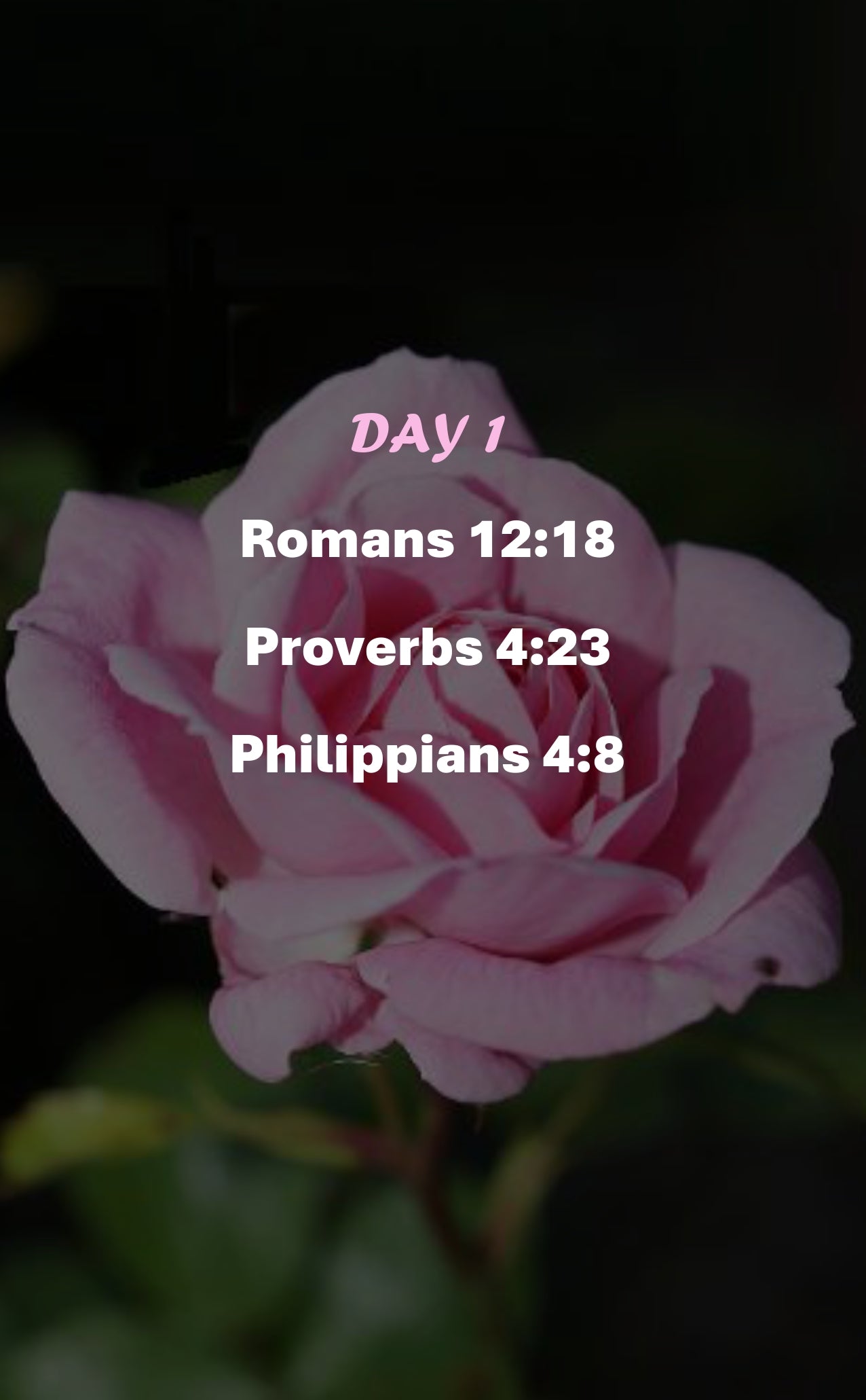 Wisdom Devotional 30 Days Vol 11 Ebook Edition