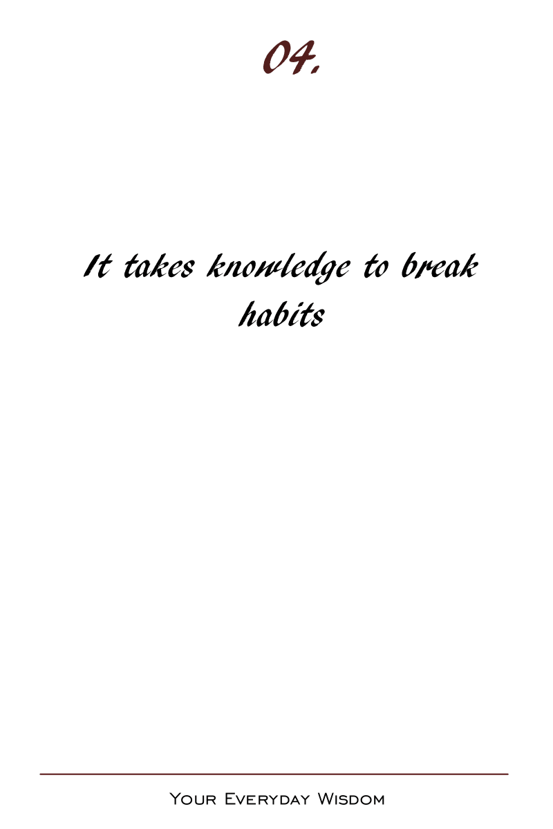 Your Everyday Wisdom Vol 2 (Paperback)