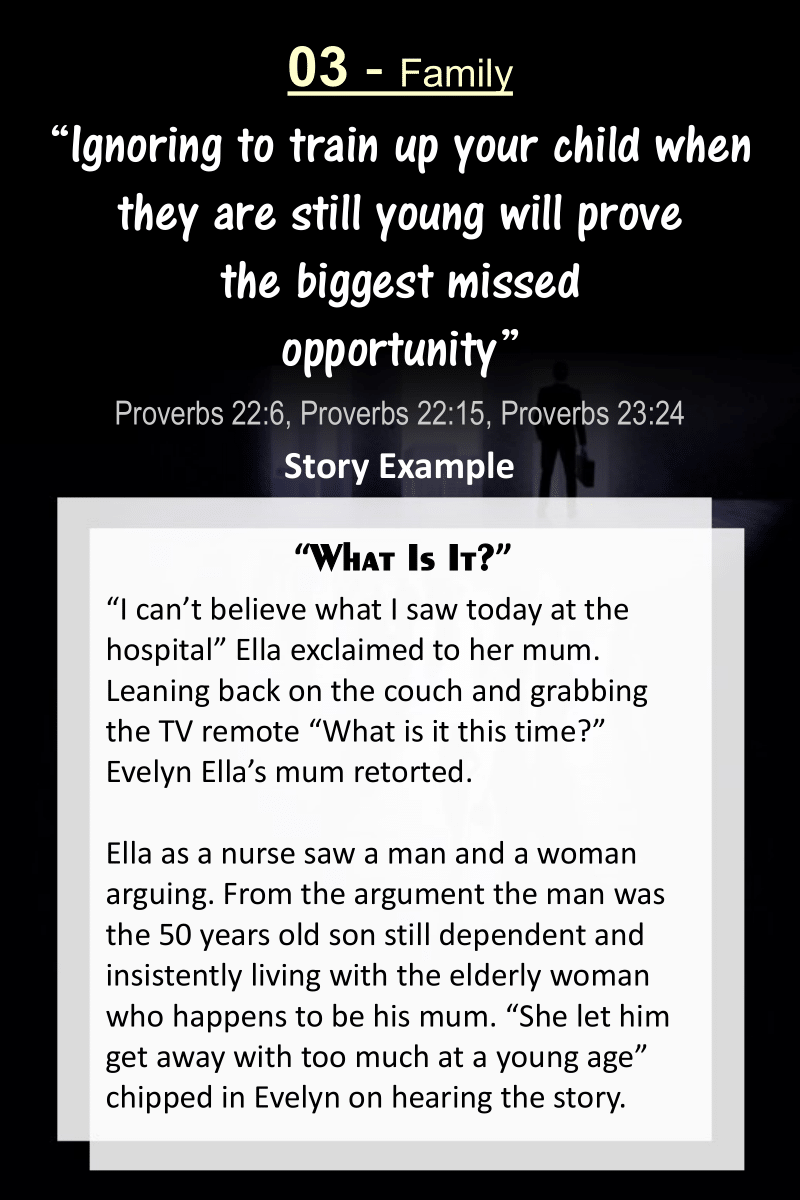 Vol 2. Christian Wisdom Secrets Family (Paperback)