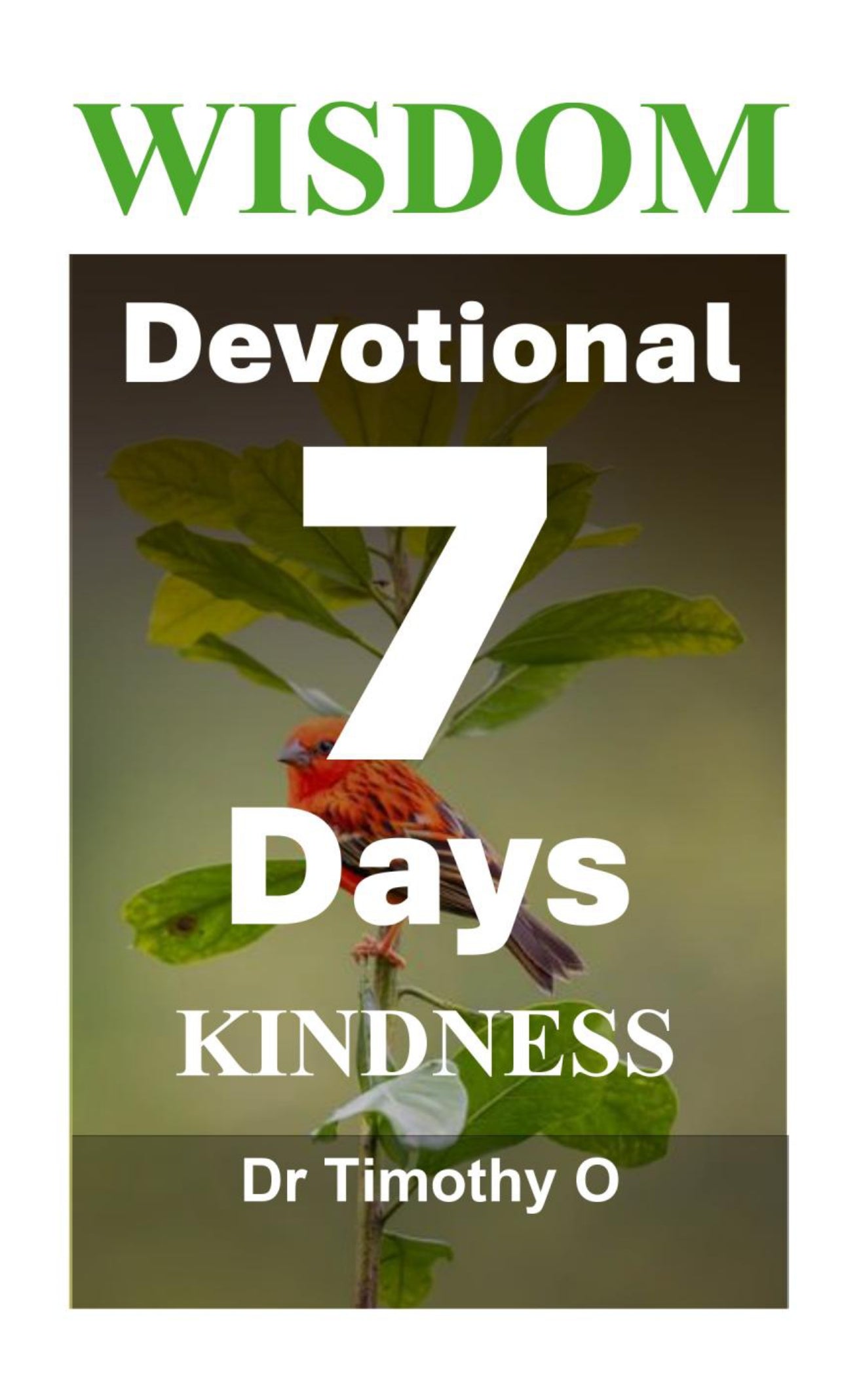 Wisdom 7 Days-Devotional - KINDNESS (Ebook)