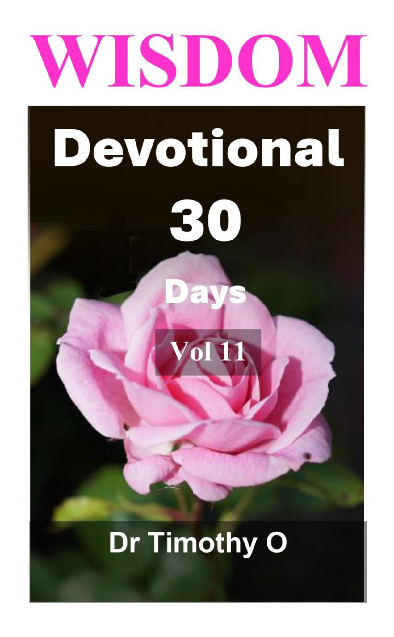 Wisdom Devotional 30 Days Vol 11 Ebook Edition