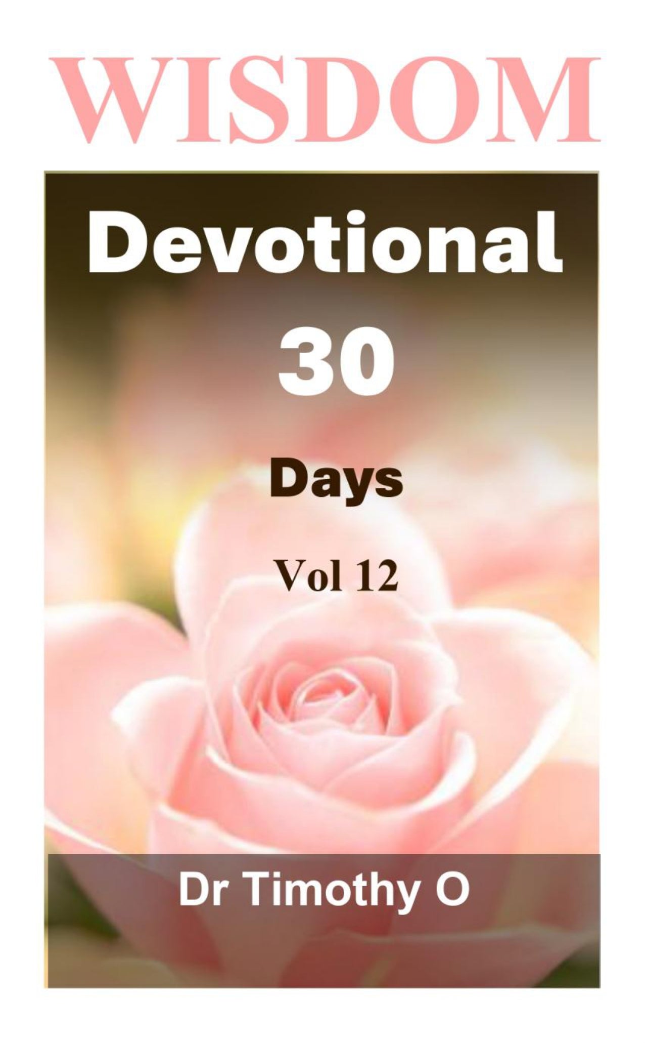 Wisdom Devotional 30 Days Vol 12 Ebook Edition